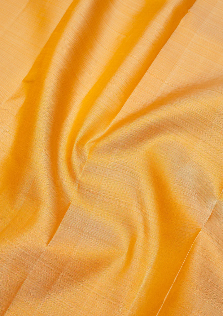 Beige Zariwork Pure Silk Saree