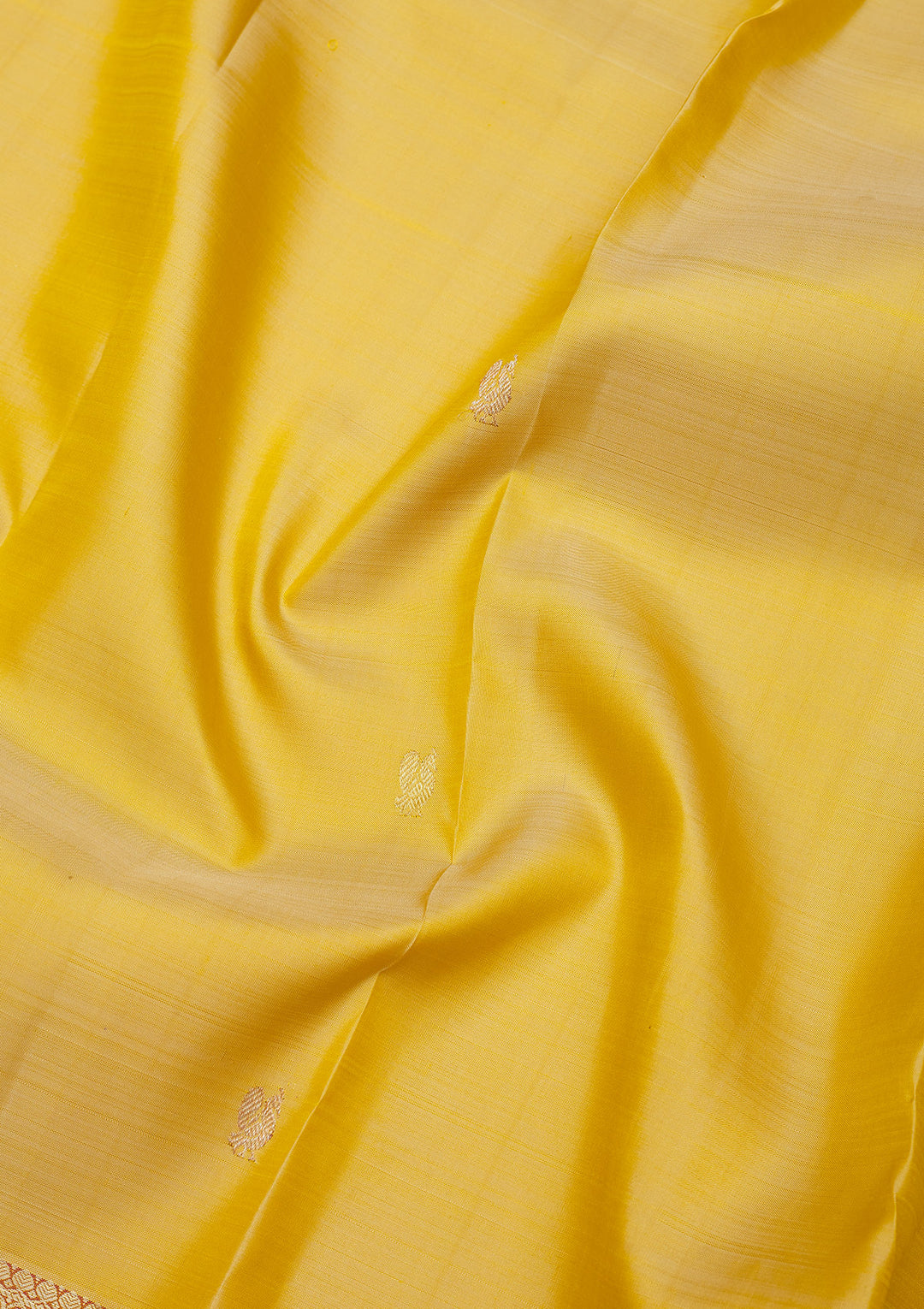 Beige Zariwork Pure Silk Saree
