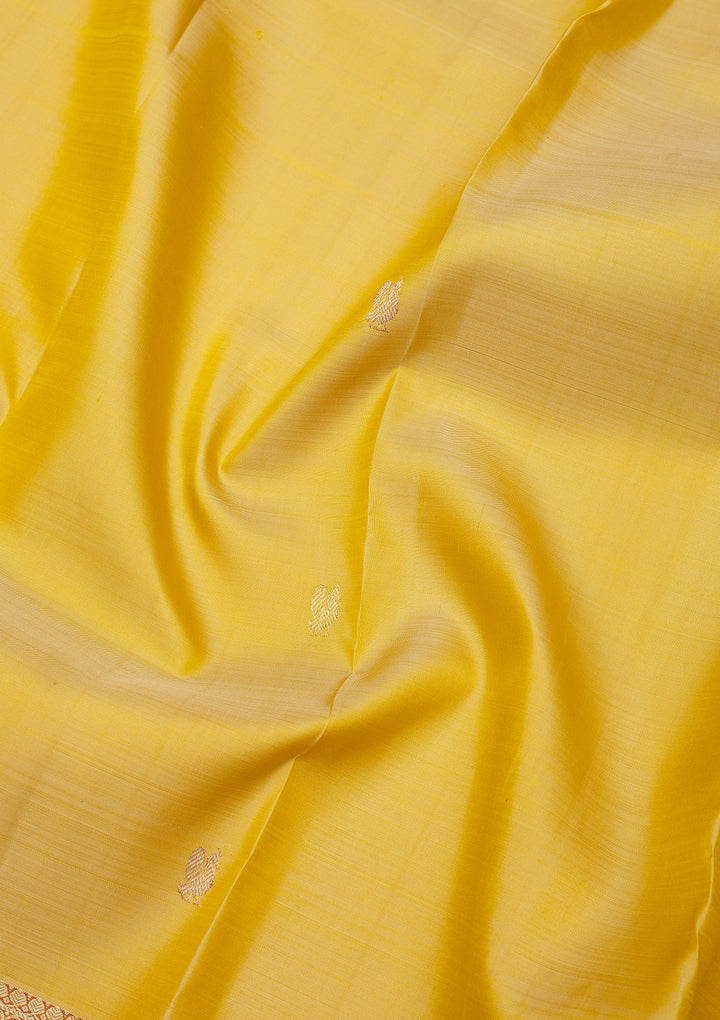 Beige Zariwork Pure Silk Saree