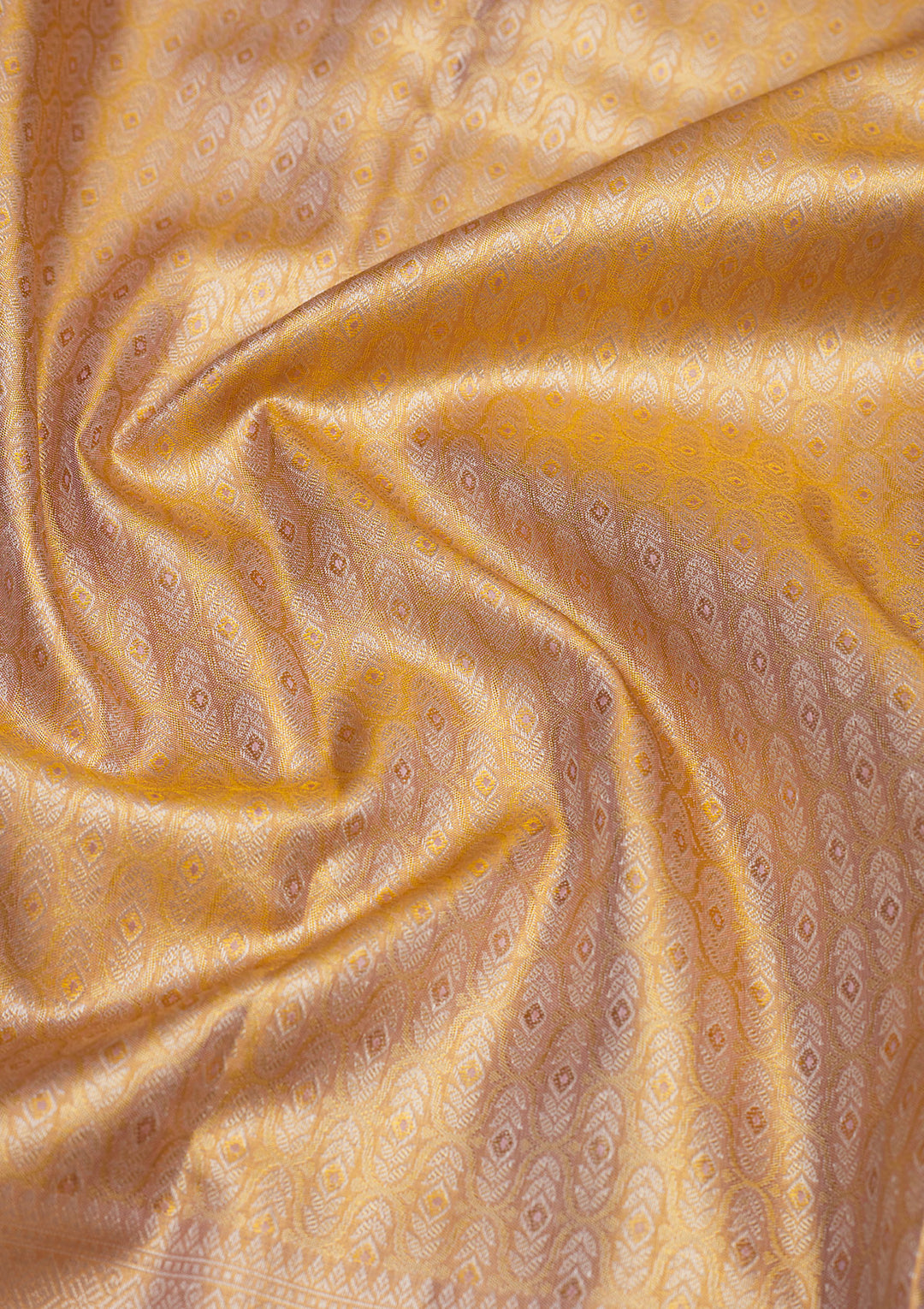 Beige Zariwork Pure Silk Saree