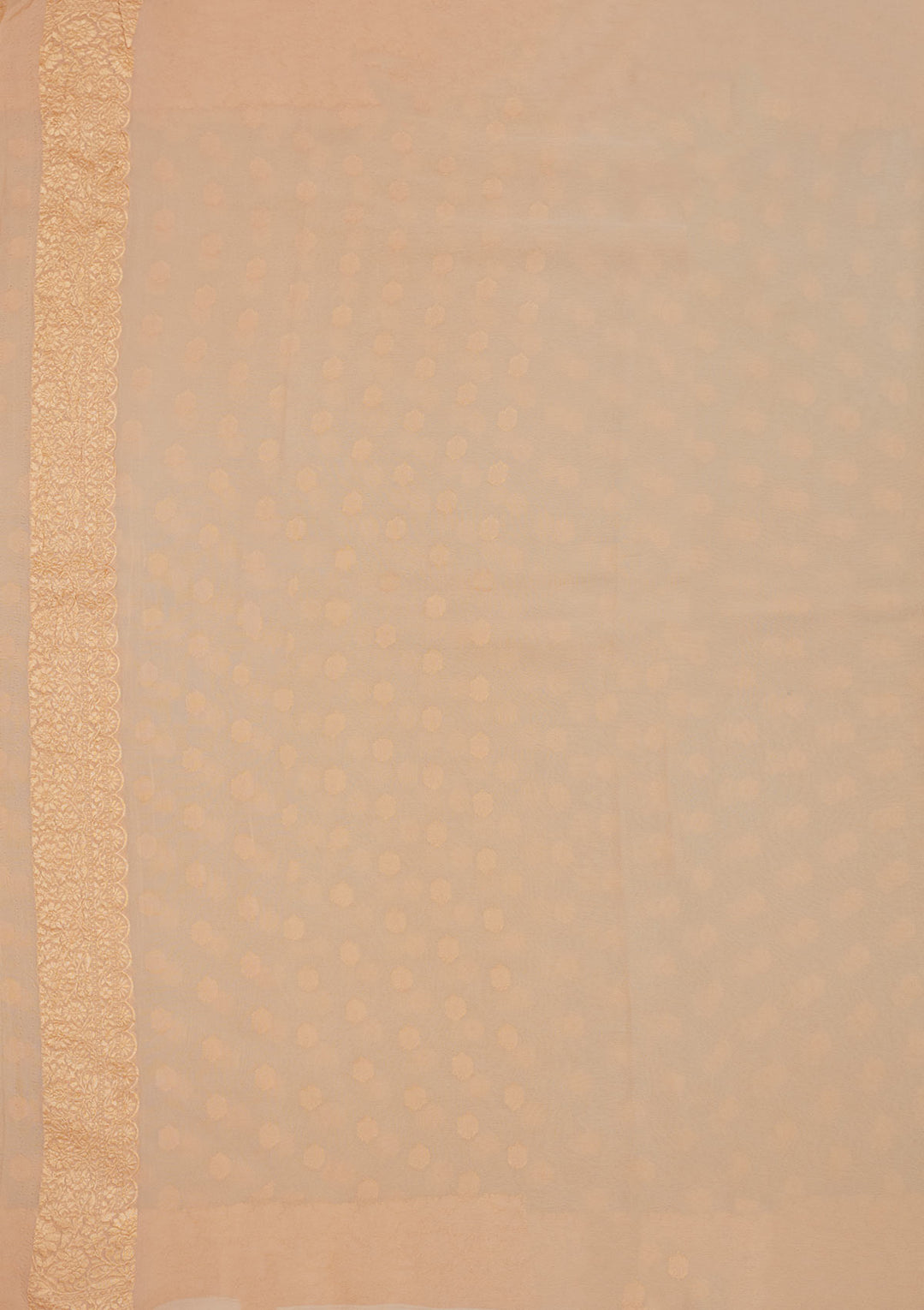 Beige Zariwork Pure Silk Saree