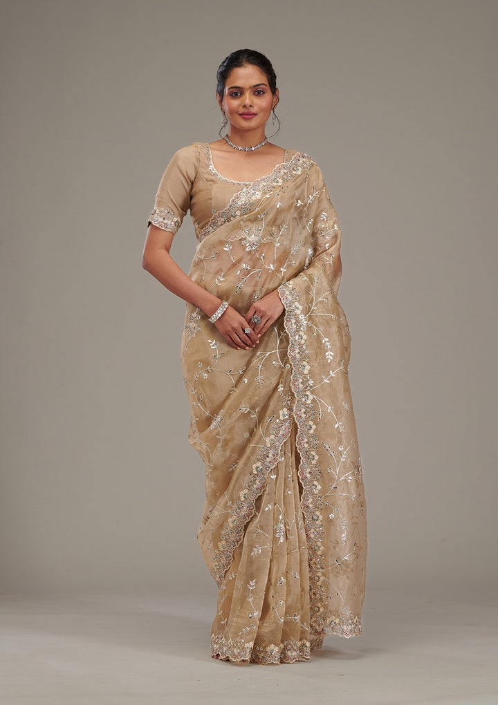 Beige Zariwork Tissue Saree