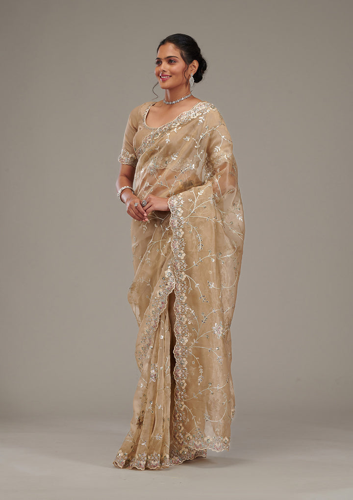 Beige Zariwork Tissue Saree