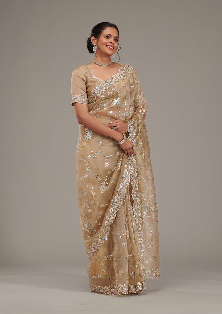 Beige Zariwork Tissue Saree