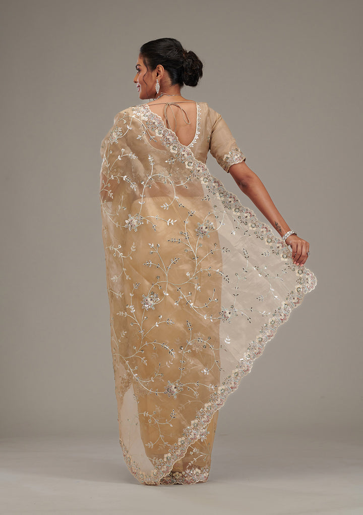 Beige Zariwork Tissue Saree
