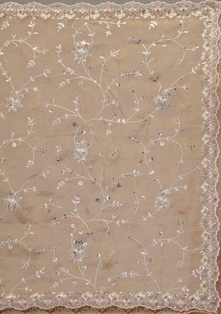 Beige Zariwork Tissue Saree
