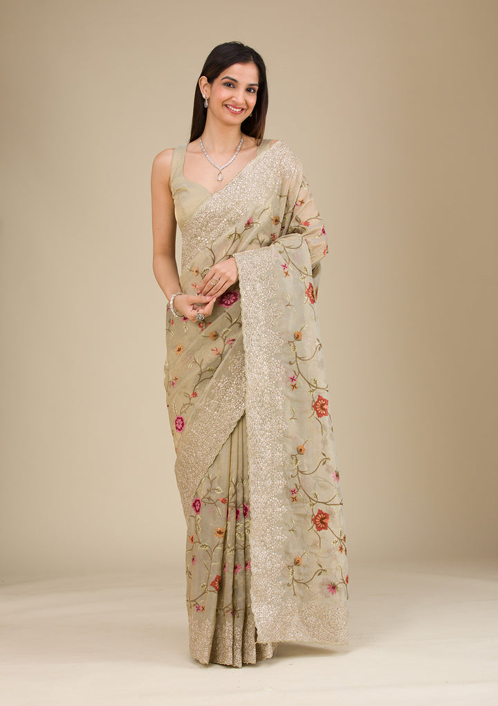 Beige Zariwork Tissue Saree