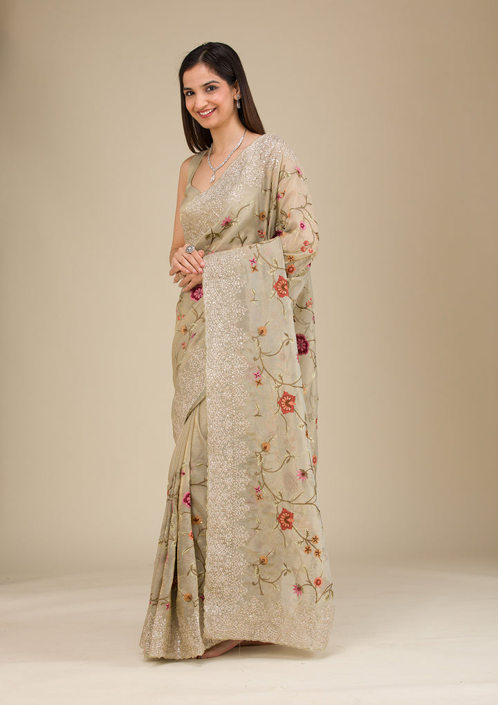 Beige Zariwork Tissue Saree