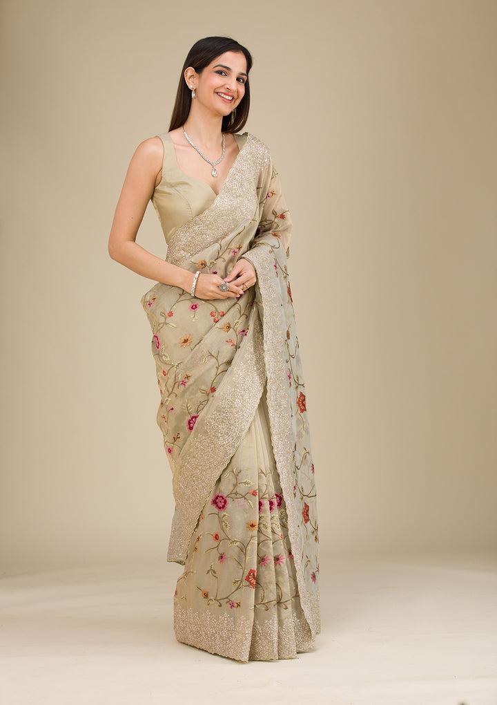 Beige Zariwork Tissue Saree
