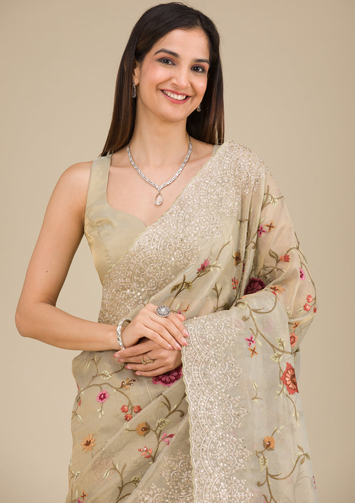 Beige Zariwork Tissue Saree