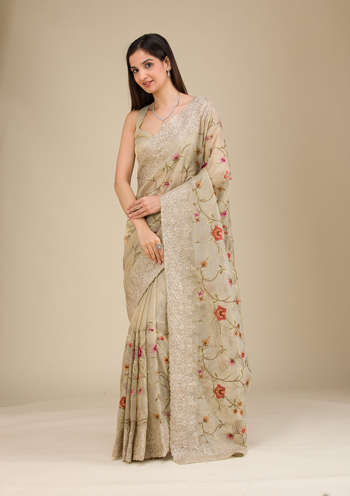 Beige Zariwork Tissue Saree