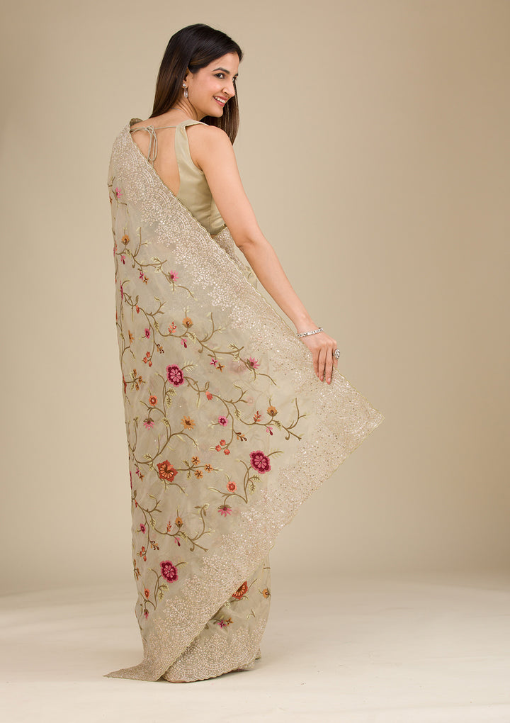 Beige Zariwork Tissue Saree