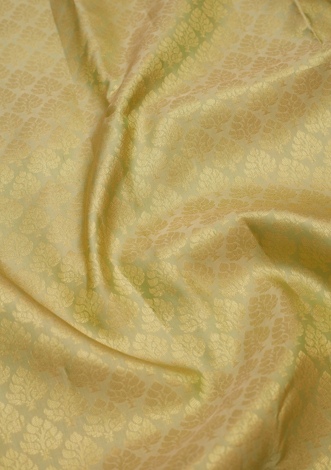Cream Zariwork Pure Silk Saree