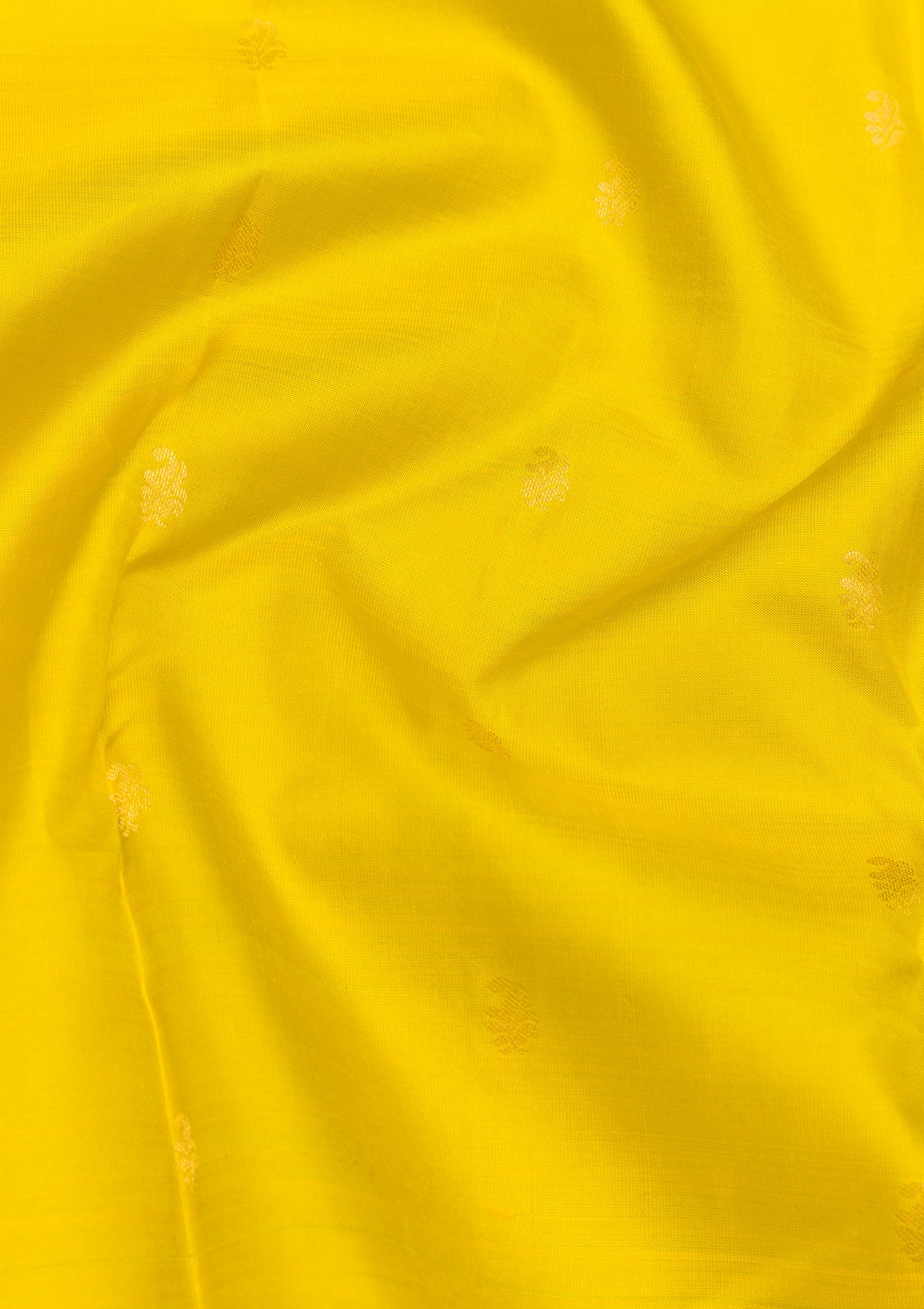 Mustard Zariwork Pure Silk Saree