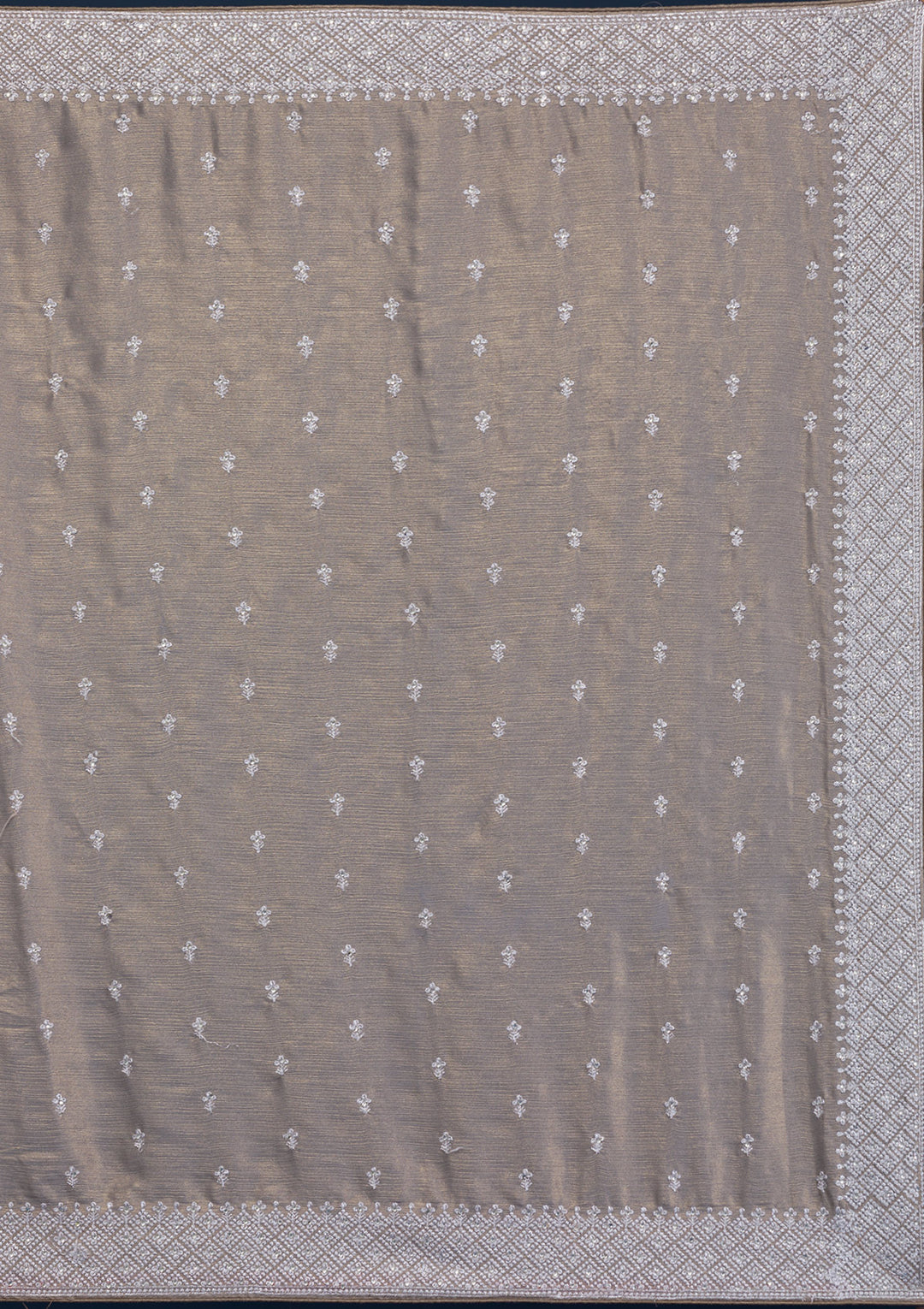 Grey Zariwork Chiffon Saree