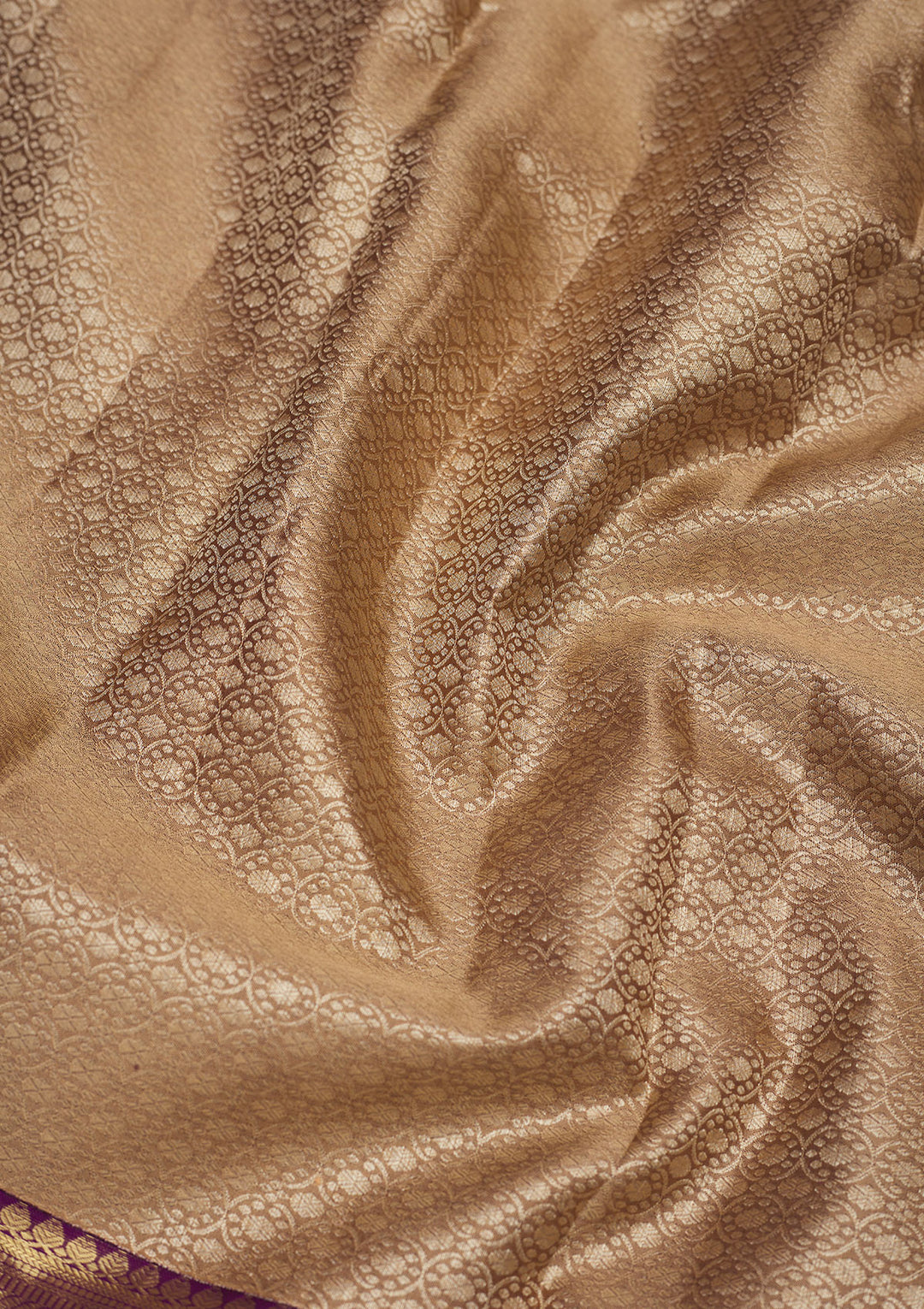 Beige Zariwork Pure Silk Saree