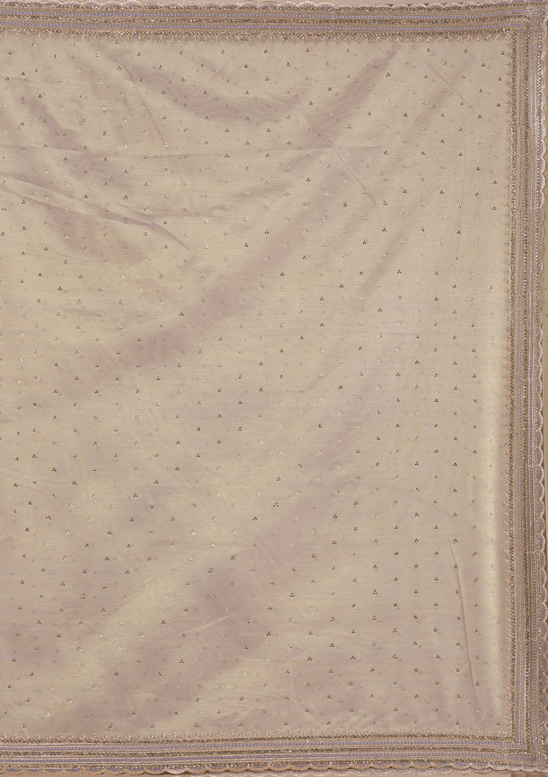 Grey Zariwork Tissue Saree