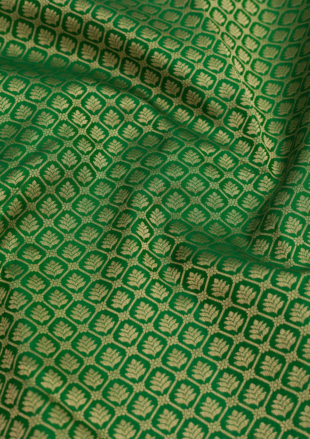 Leaf Green Zariwork Pure Silk Saree