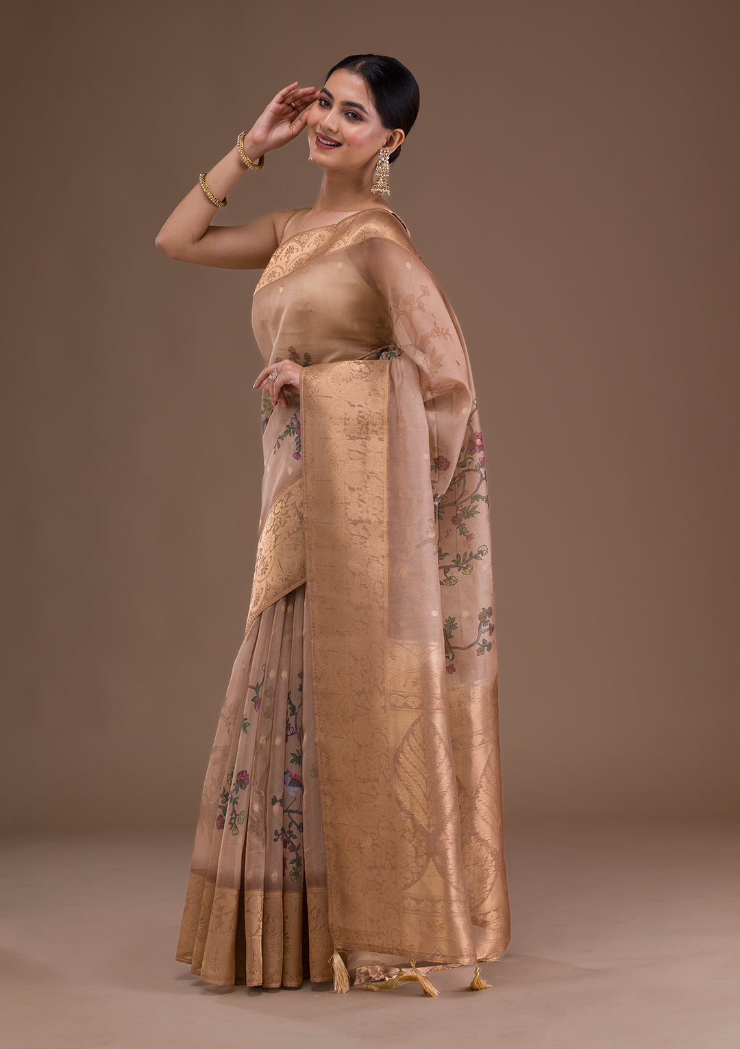 Light Brown Printed Tissue Saree