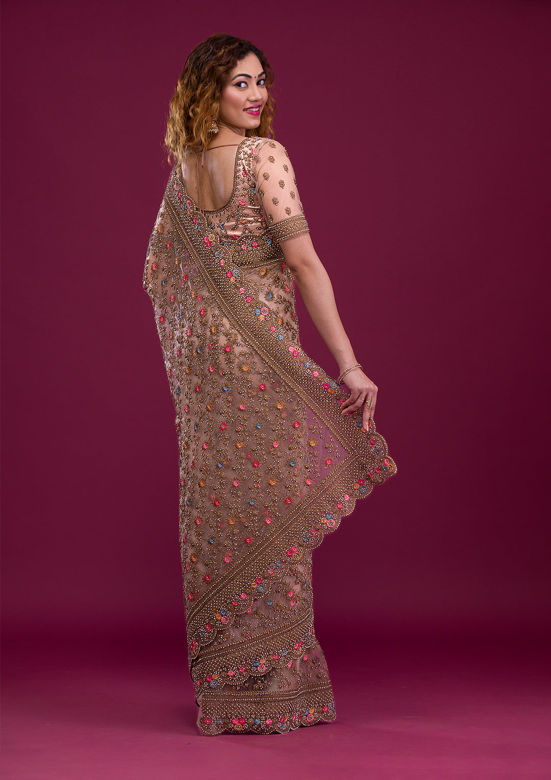 Light Brown Stonework Net Saree
