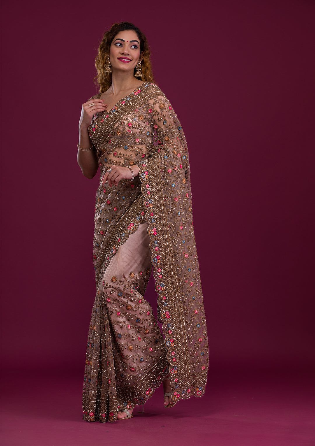 Light Brown Stonework Net Saree