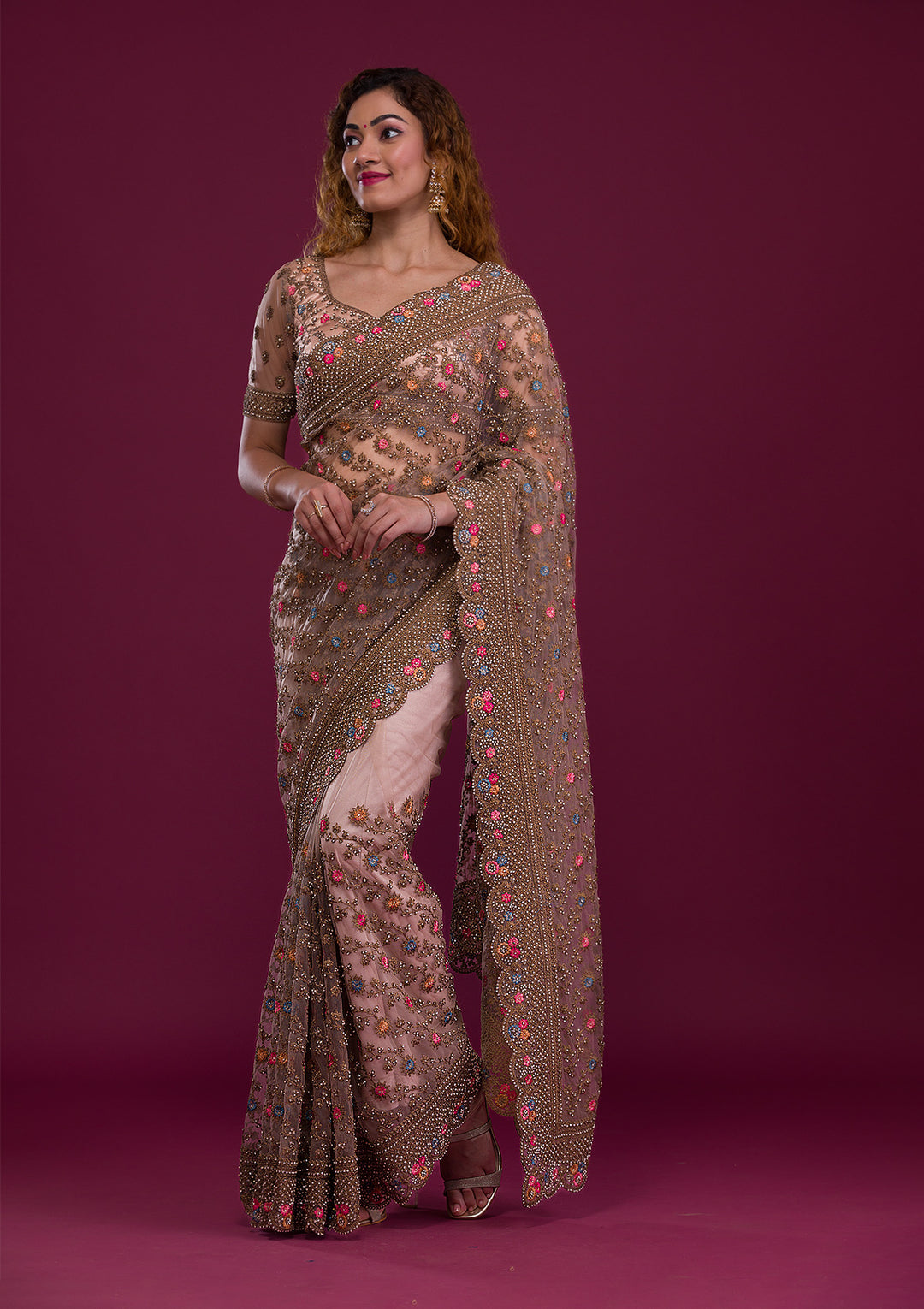 Light Brown Stonework Net Saree