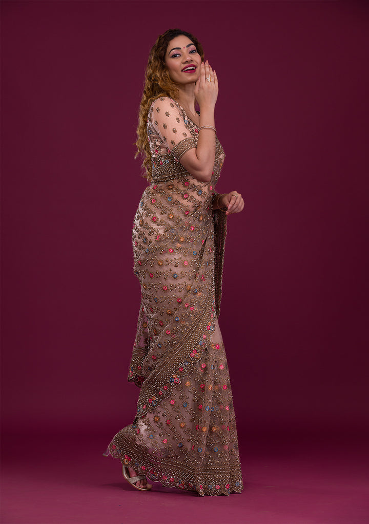 Light Brown Stonework Net Saree