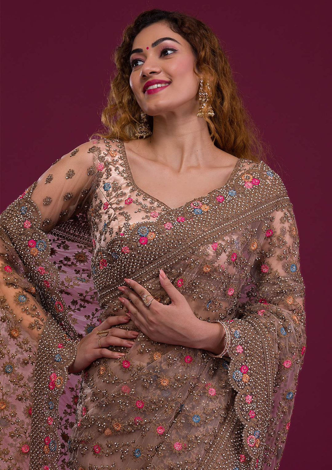 Light Brown Stonework Net Saree
