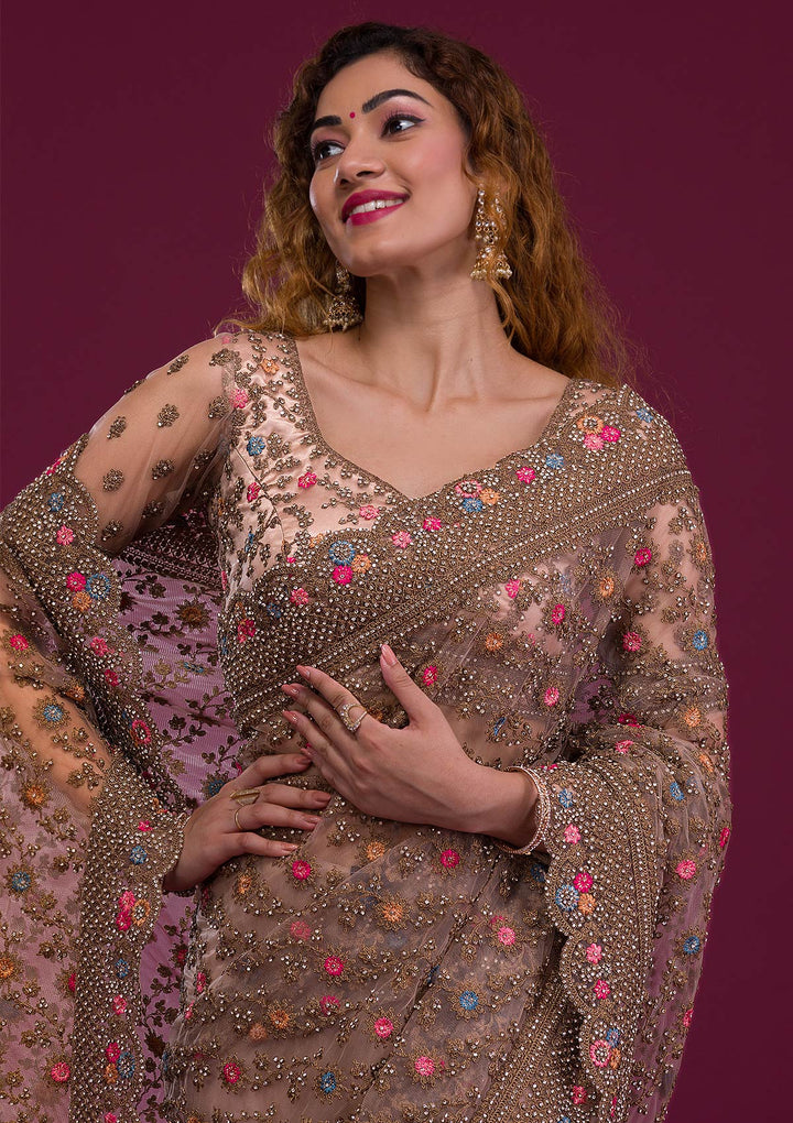 Light Brown Stonework Net Saree