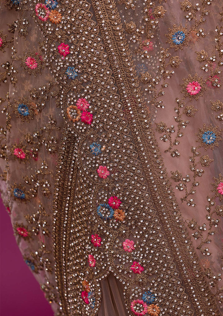 Light Brown Stonework Net Saree