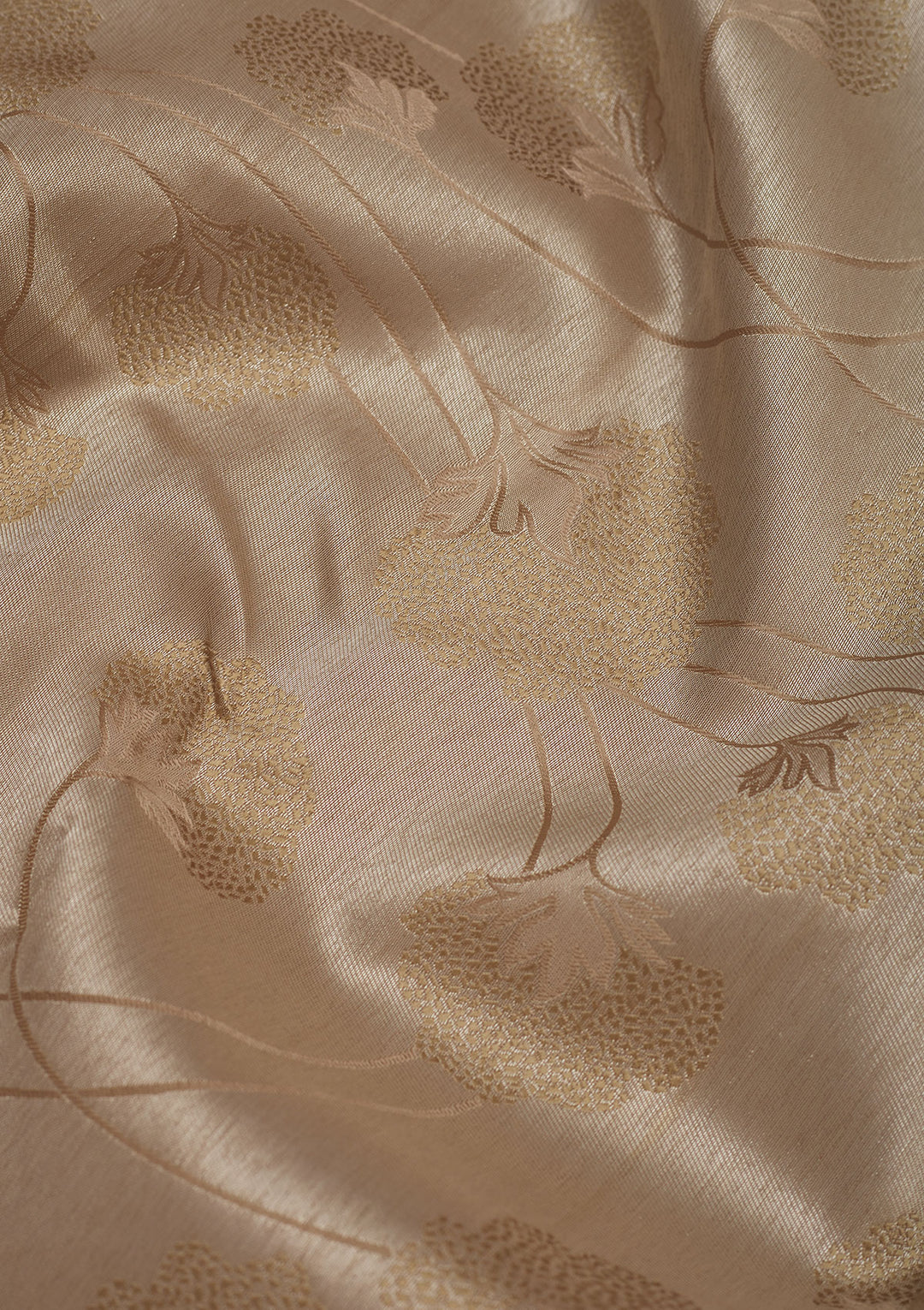 Light Brown Zariwork Pure Silk Saree
