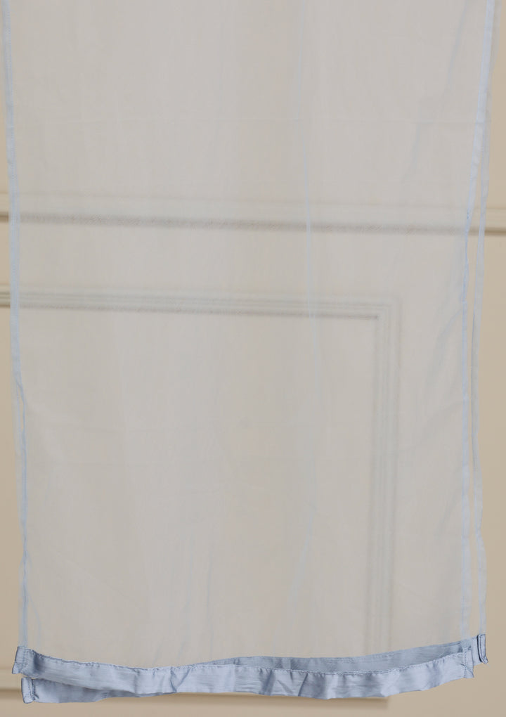 Light Grey Mirrorwork Net Gown