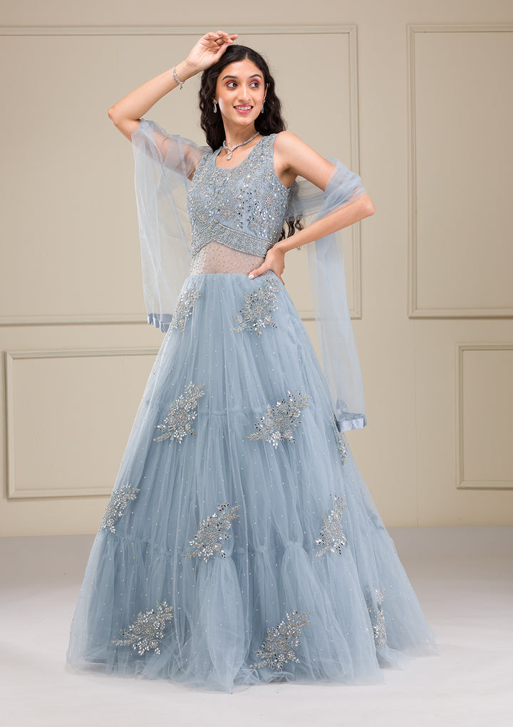 Light Grey Mirrorwork Net Gown