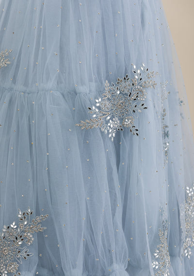 Light Grey Mirrorwork Net Gown