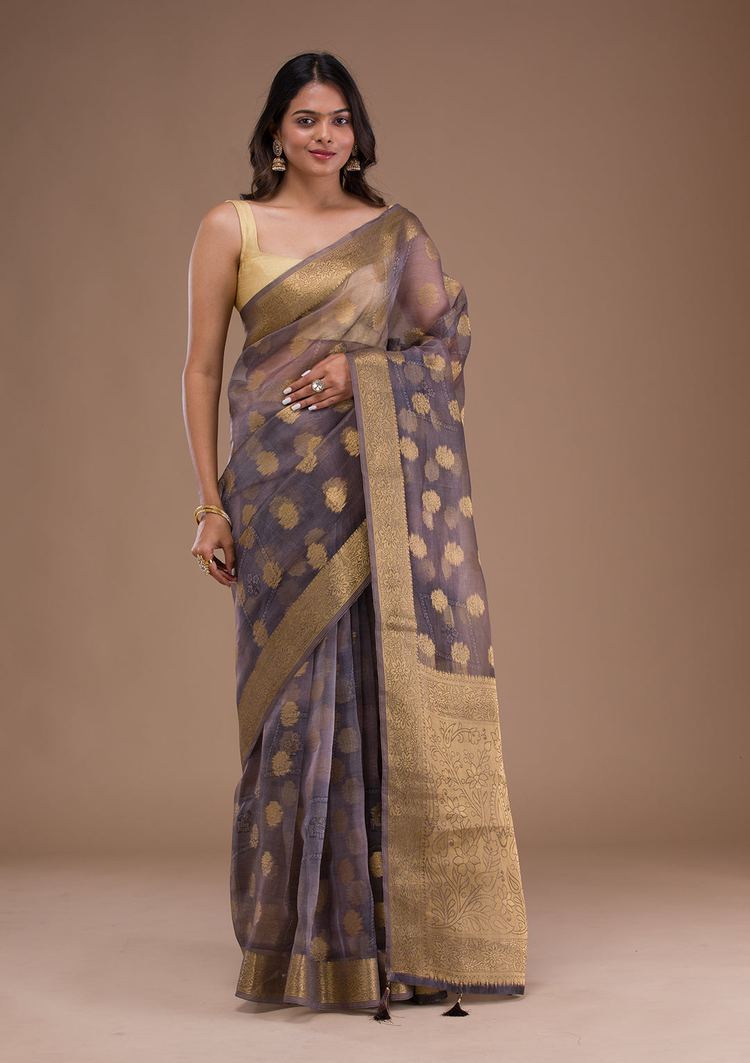 Light Grey Printed Tissue Saree