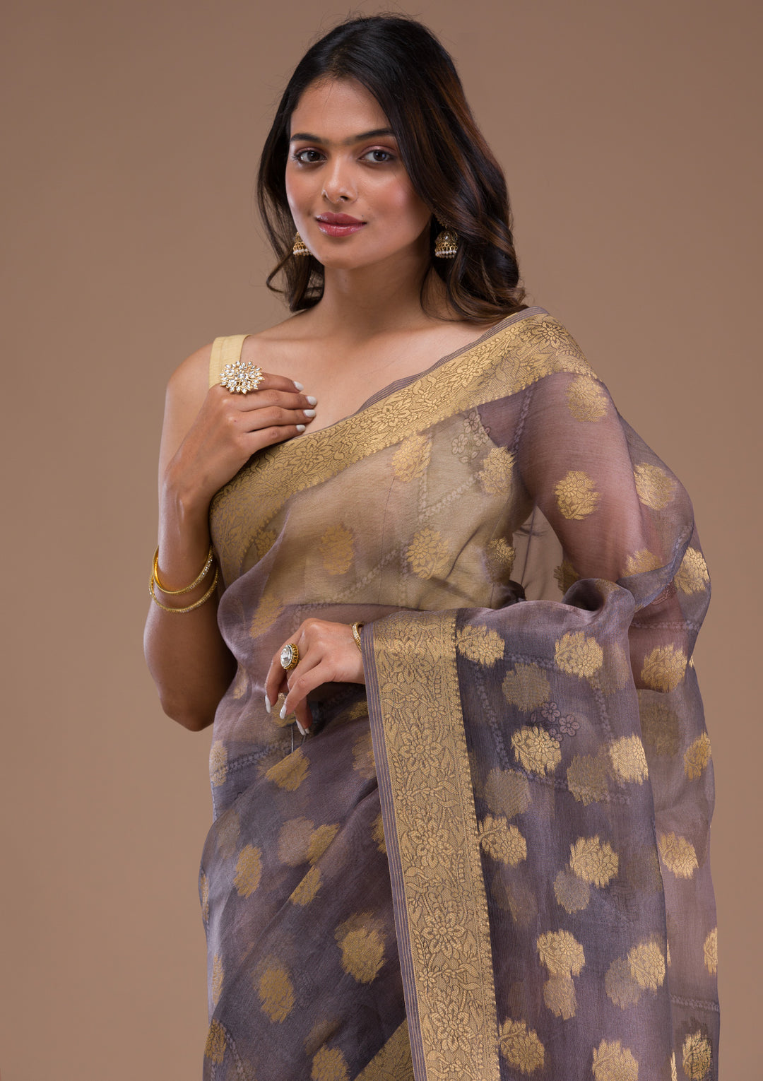 Light Grey Printed Tissue Saree