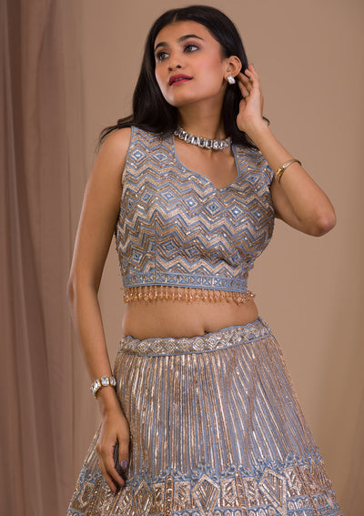 Light Grey Zariwork Net Readymade Lehenga-Koskii
