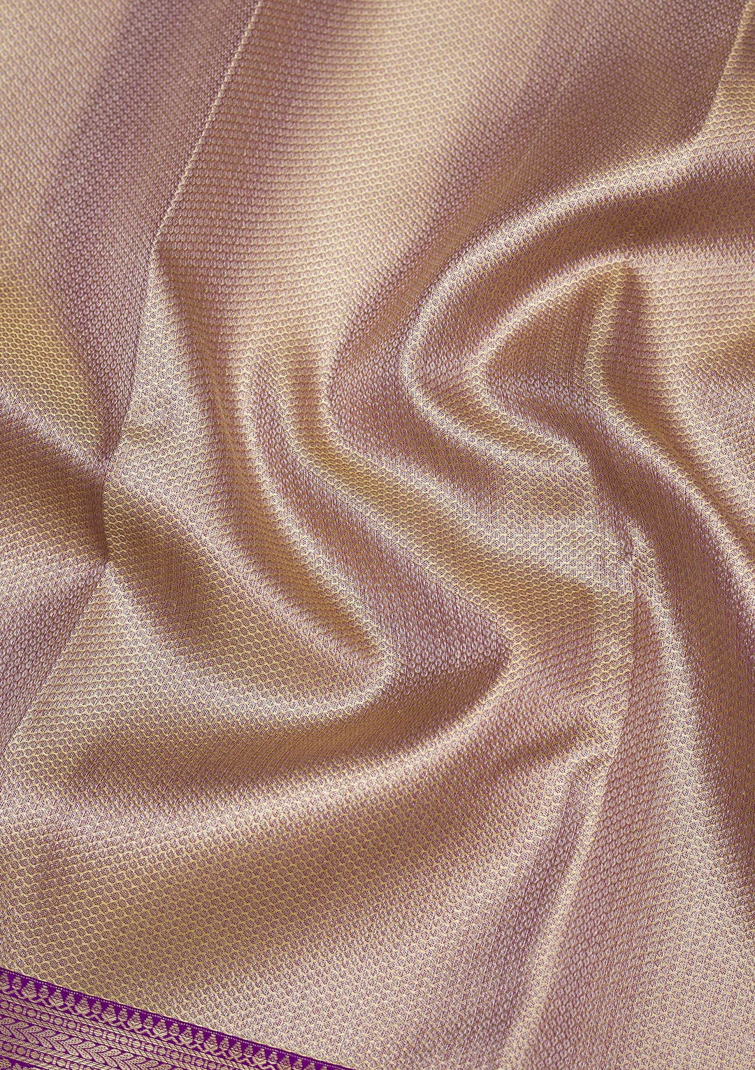 Beige Zariwork Pure Silk Saree
