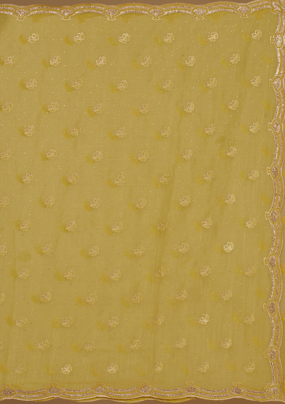 Mehendi Cutdana Chiffon Saree