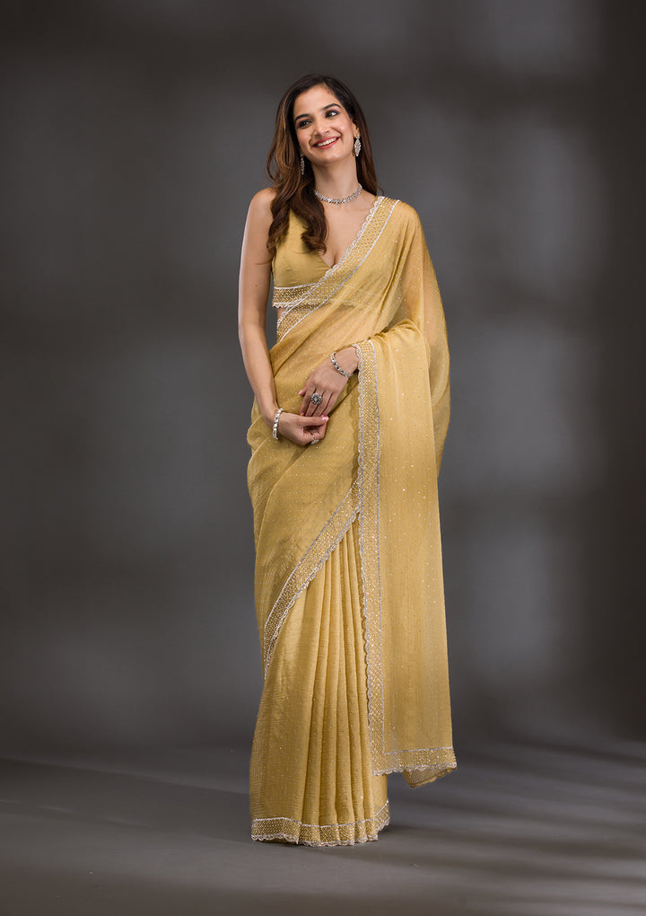 Mehendi Silver Stonework Tissue Saree