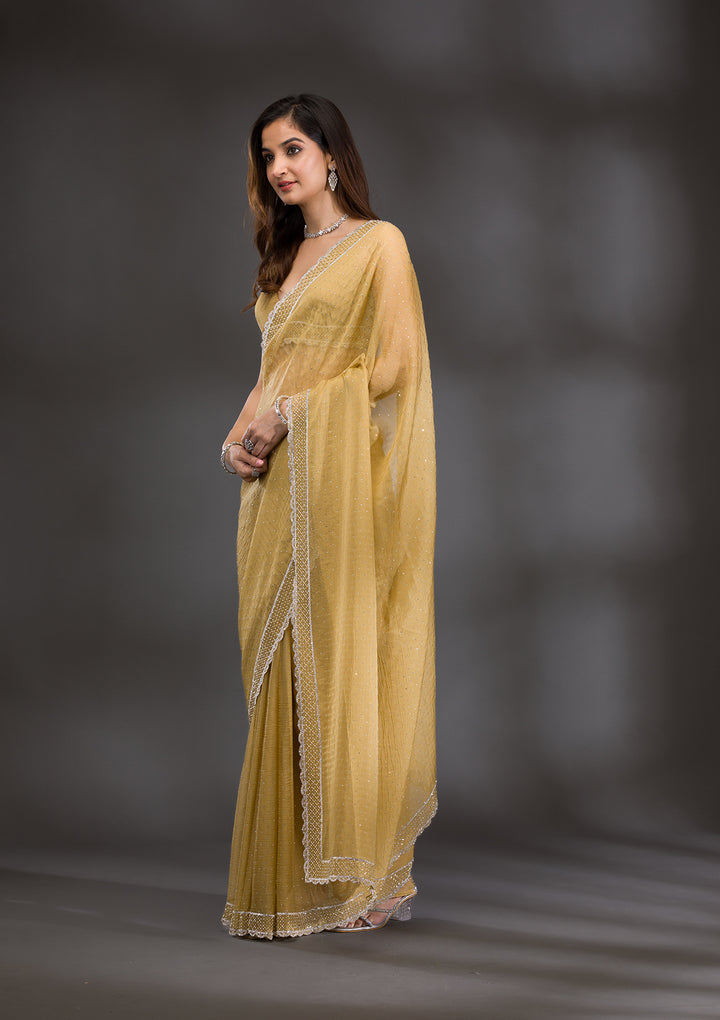 Mehendi Silver Stonework Tissue Saree