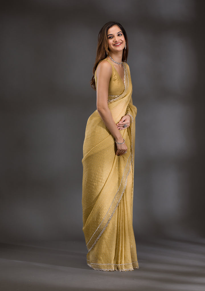 Mehendi Silver Stonework Tissue Saree