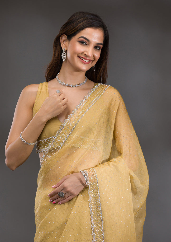 Mehendi Silver Stonework Tissue Saree