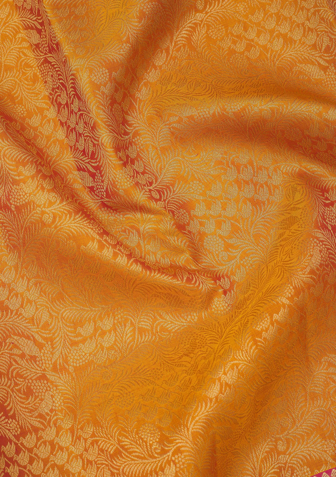 Mustard Zariwork Pure Silk Saree