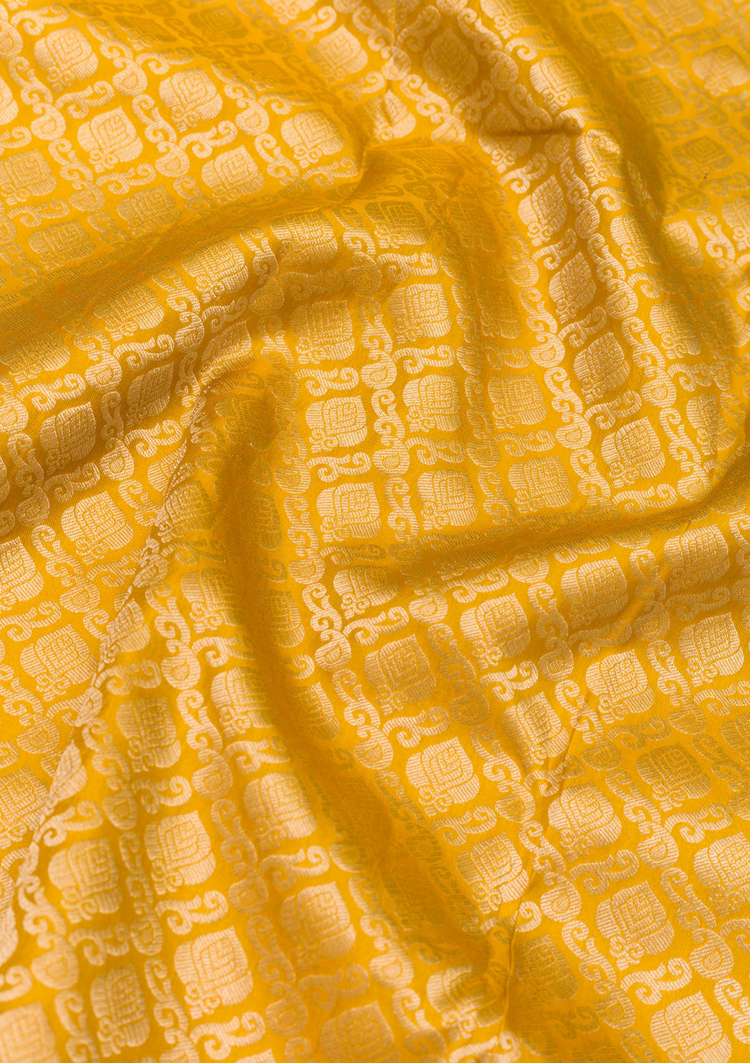 Mustard Zariwork Pure Silk Saree