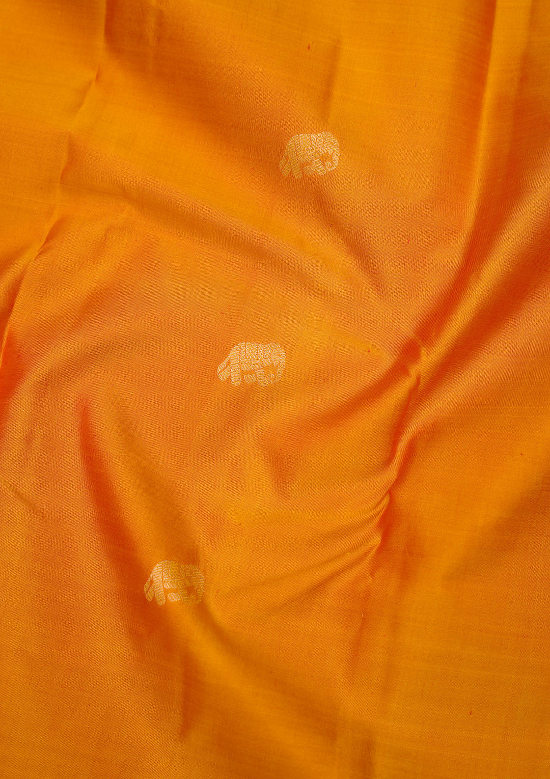 Mustard Zariwork Pure Silk Saree