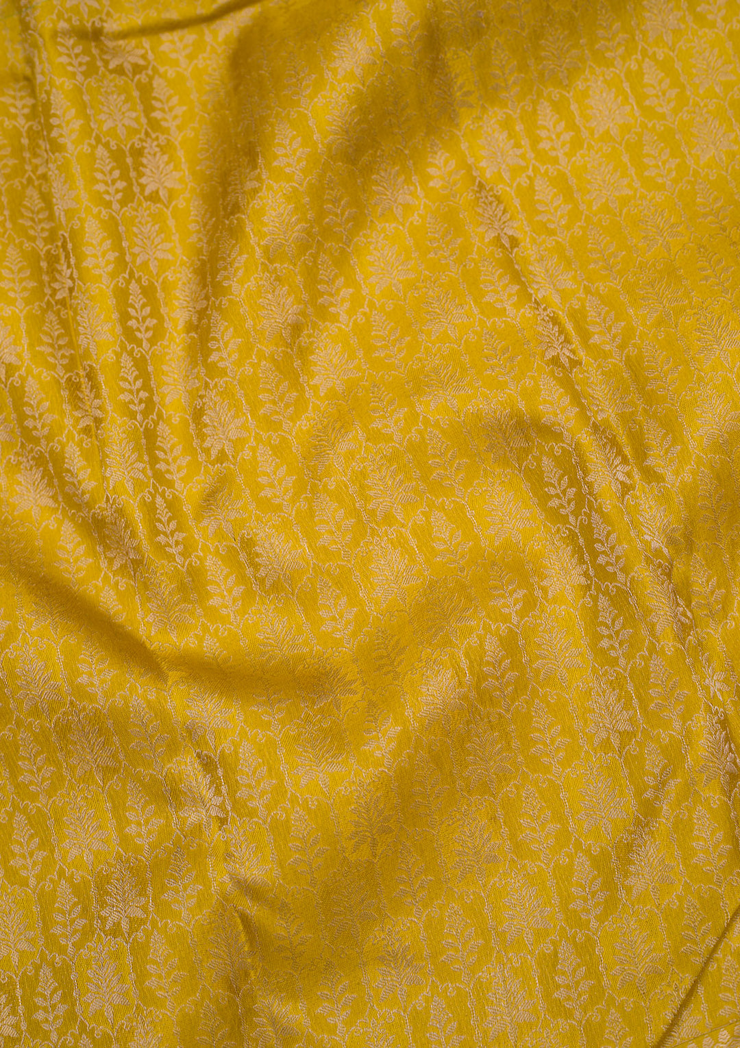 Mustard Zariwork Pure Silk Saree