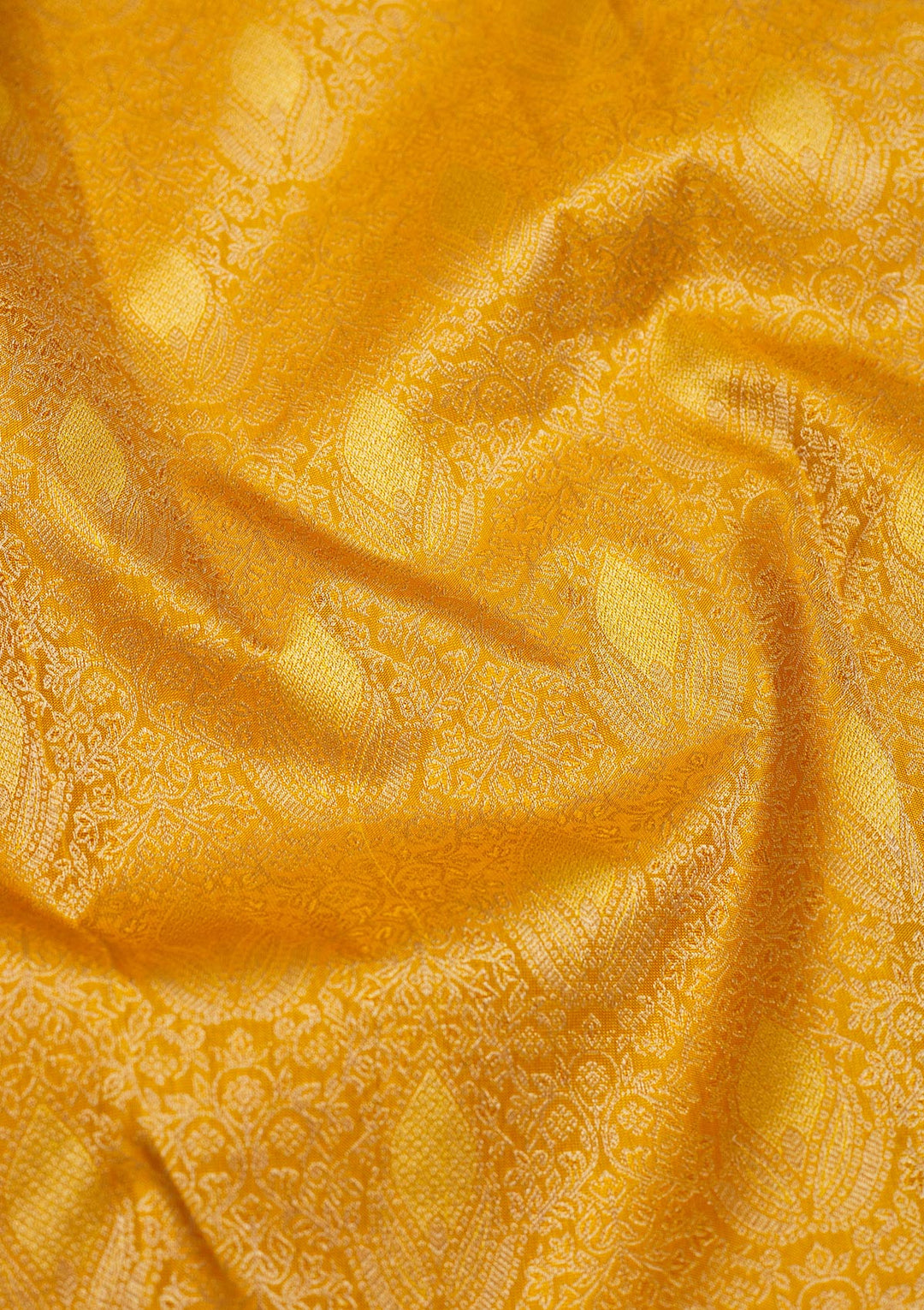 Mustard Zariwork Pure Silk Saree