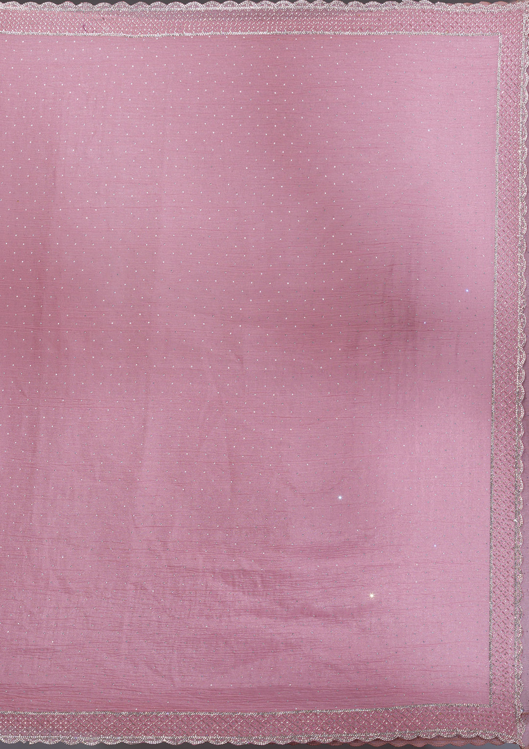 Onion Pink Stonework Tissue Saree