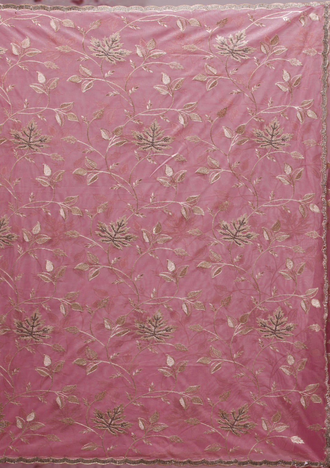 Onion Pink Zariwork Tissue Saree